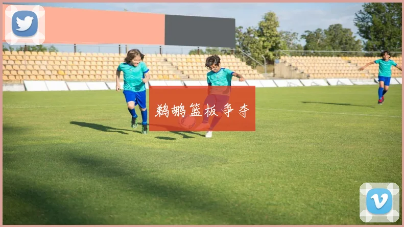 鹈鹕篮板争夺