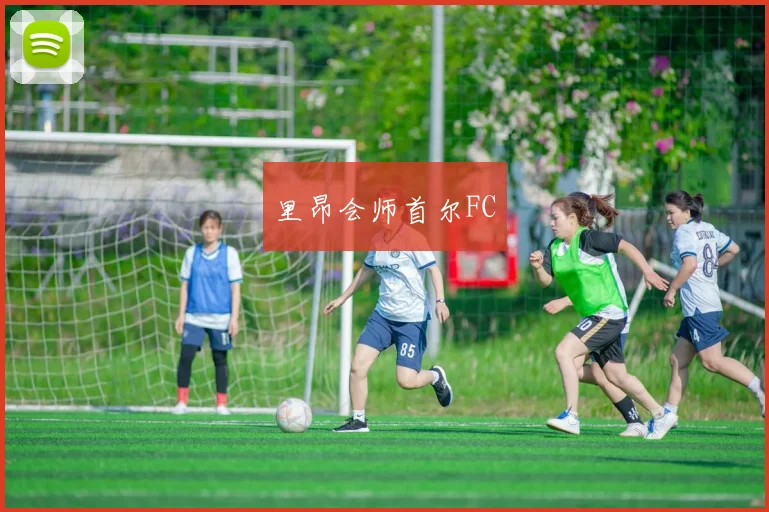 里昂会师首尔FC