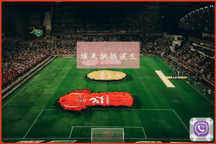 埃及挑战波兰