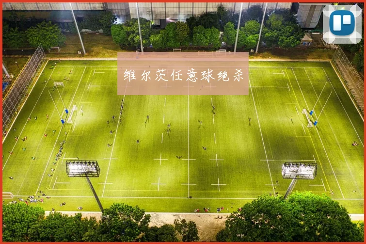 维尔茨任意球绝杀