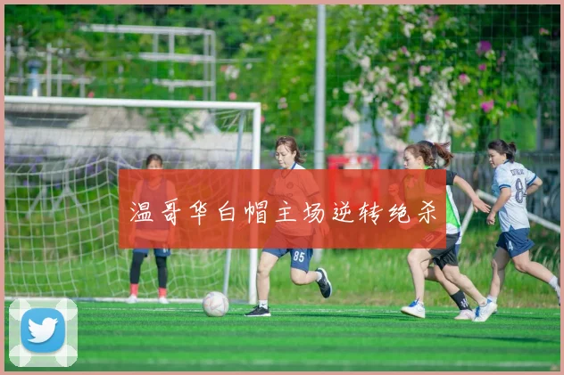 温哥华白帽主场逆转绝杀