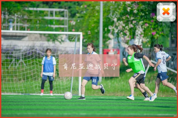 肯尼亚迎战贝宁