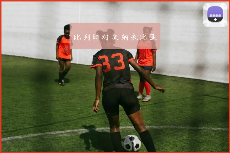 比利时对决纳米比亚