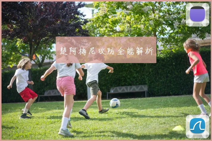 楚阿梅尼攻防全能解析