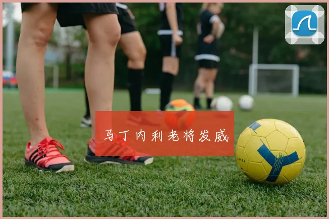 马丁内利老将发威