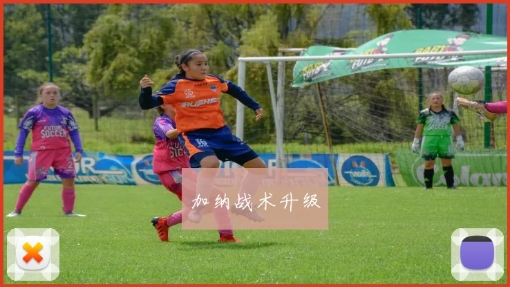 加纳战术升级