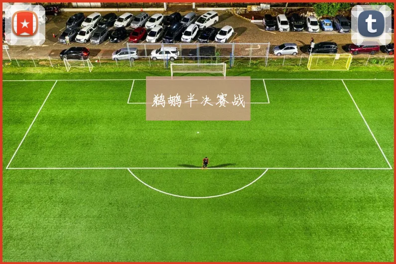 鹈鹕半决赛战