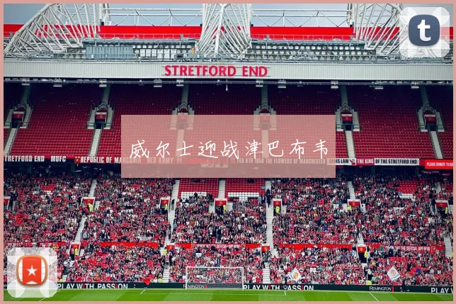 威尔士迎战津巴布韦