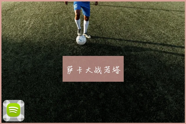 萨卡大战若塔