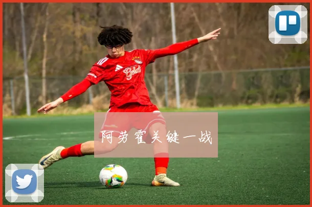 阿劳霍关键一战