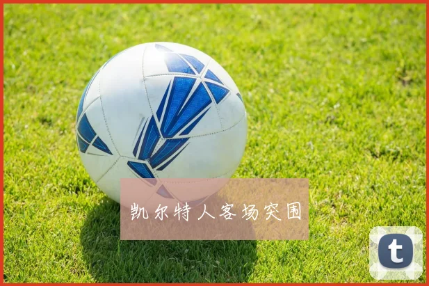 凯尔特人客场突围