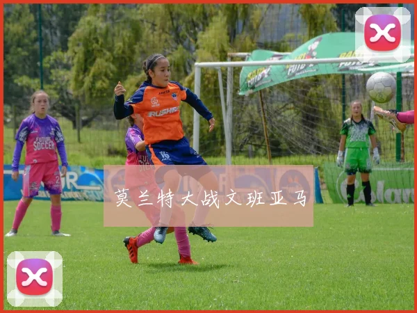 莫兰特大战文班亚马