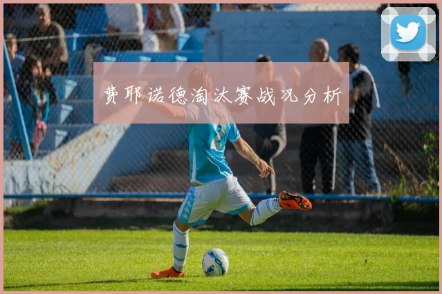 费耶诺德淘汰赛战况分析