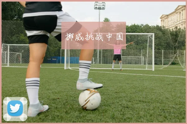 挪威挑战中国