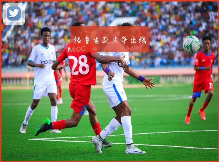 格鲁吉亚力争出线