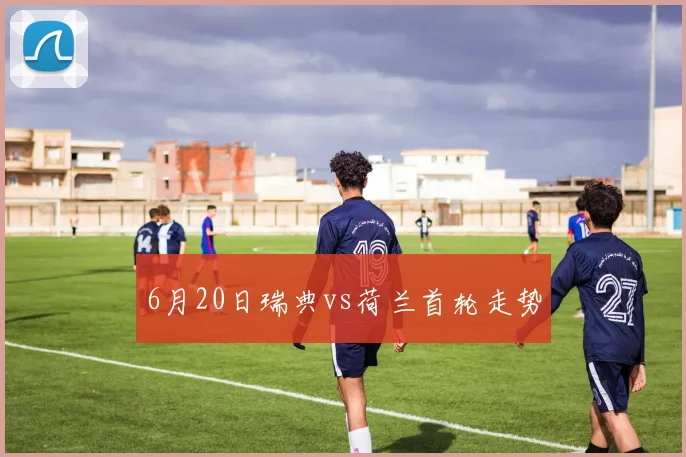 6月20日瑞典vs荷兰首轮走势