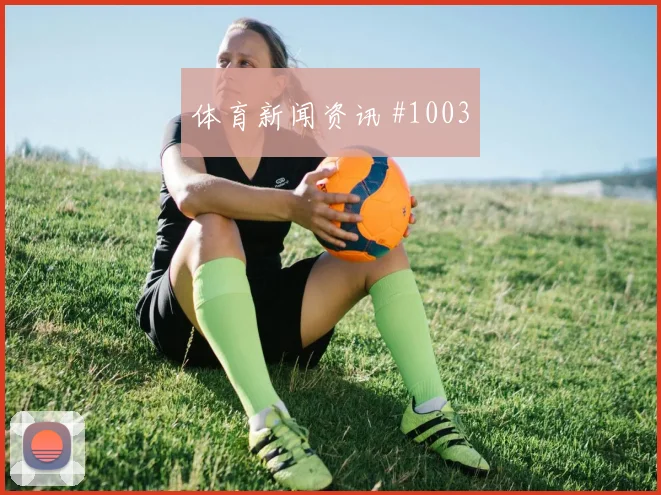 绍切克2026世界杯球迷关注度