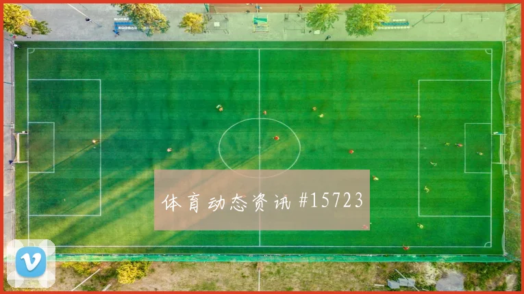 6月15日新西兰对伊朗长传策略