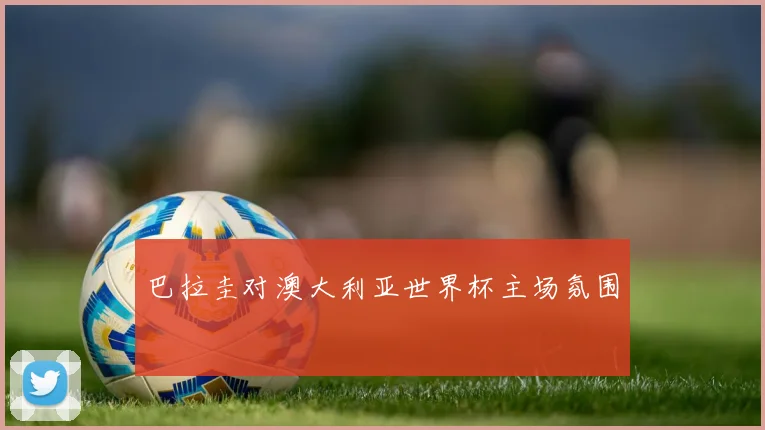 巴拉圭对澳大利亚世界杯主场氛围