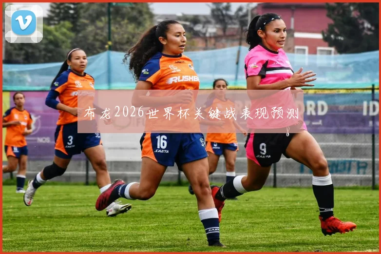 布龙2026世界杯关键战表现预测