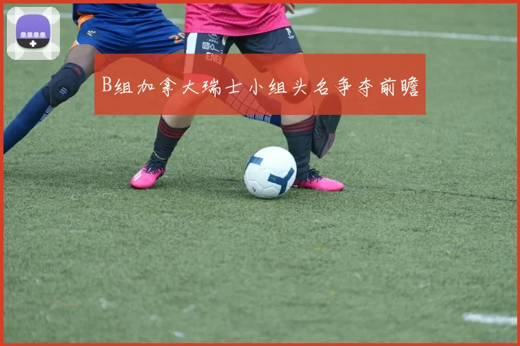 B组加拿大瑞士小组头名争夺前瞻